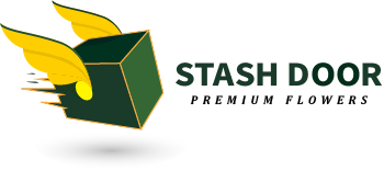 StashDoor Logo