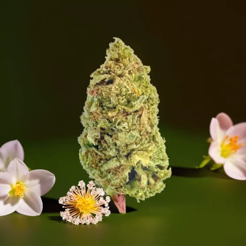 Shop THCA Flower