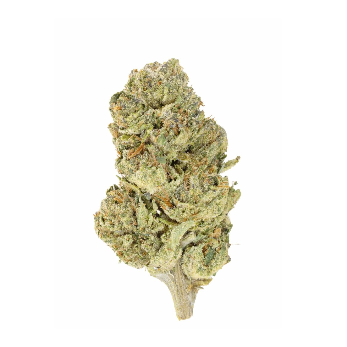 THCa-GUSHERS-HYBRID-EuphoriaCBD