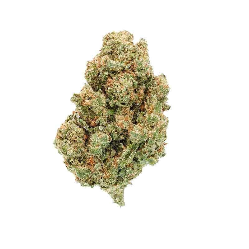 THCa-Jack-Herer-LD-Sativa-EuphoriaCBD