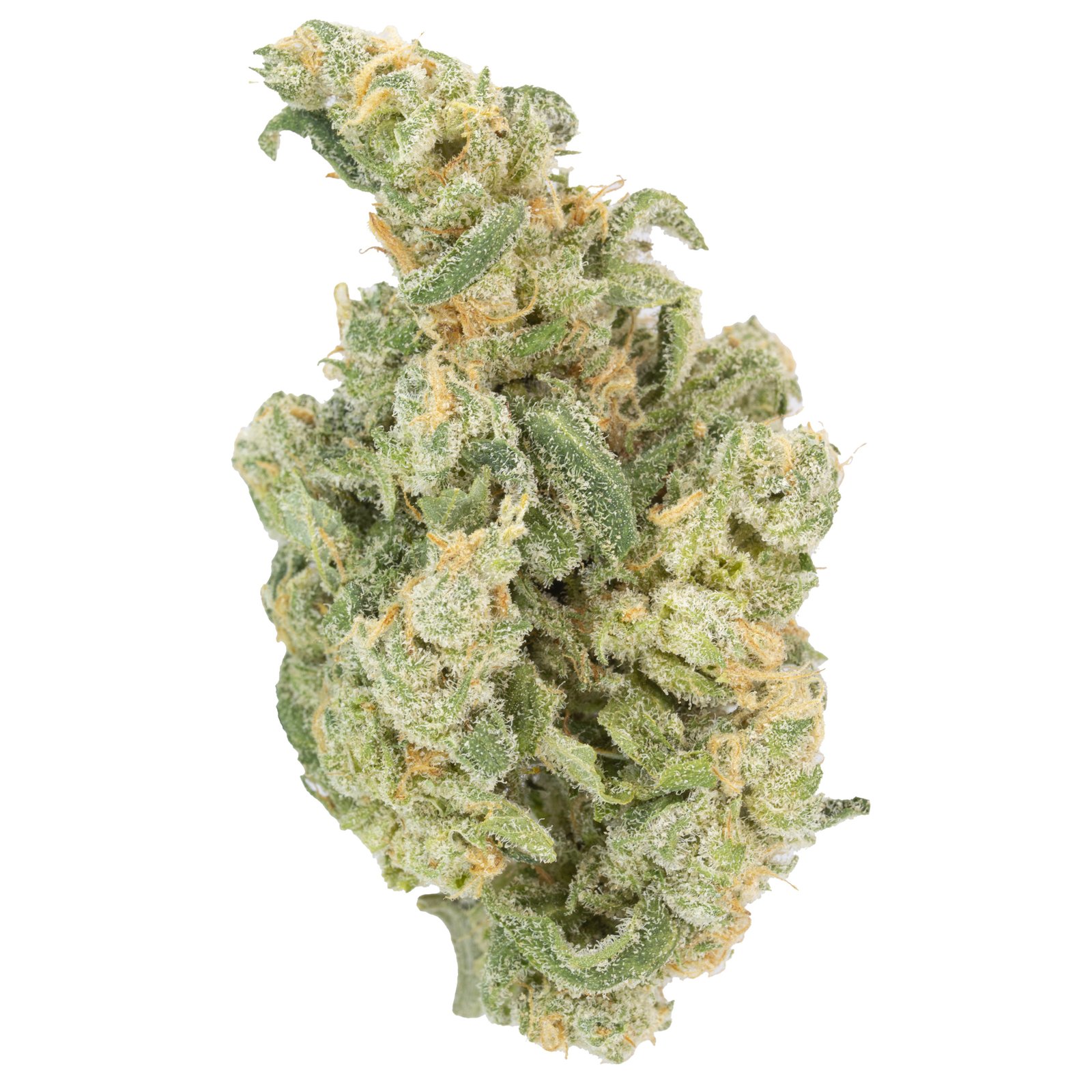 BLUE DREAM INDOOR SATIVA HTC