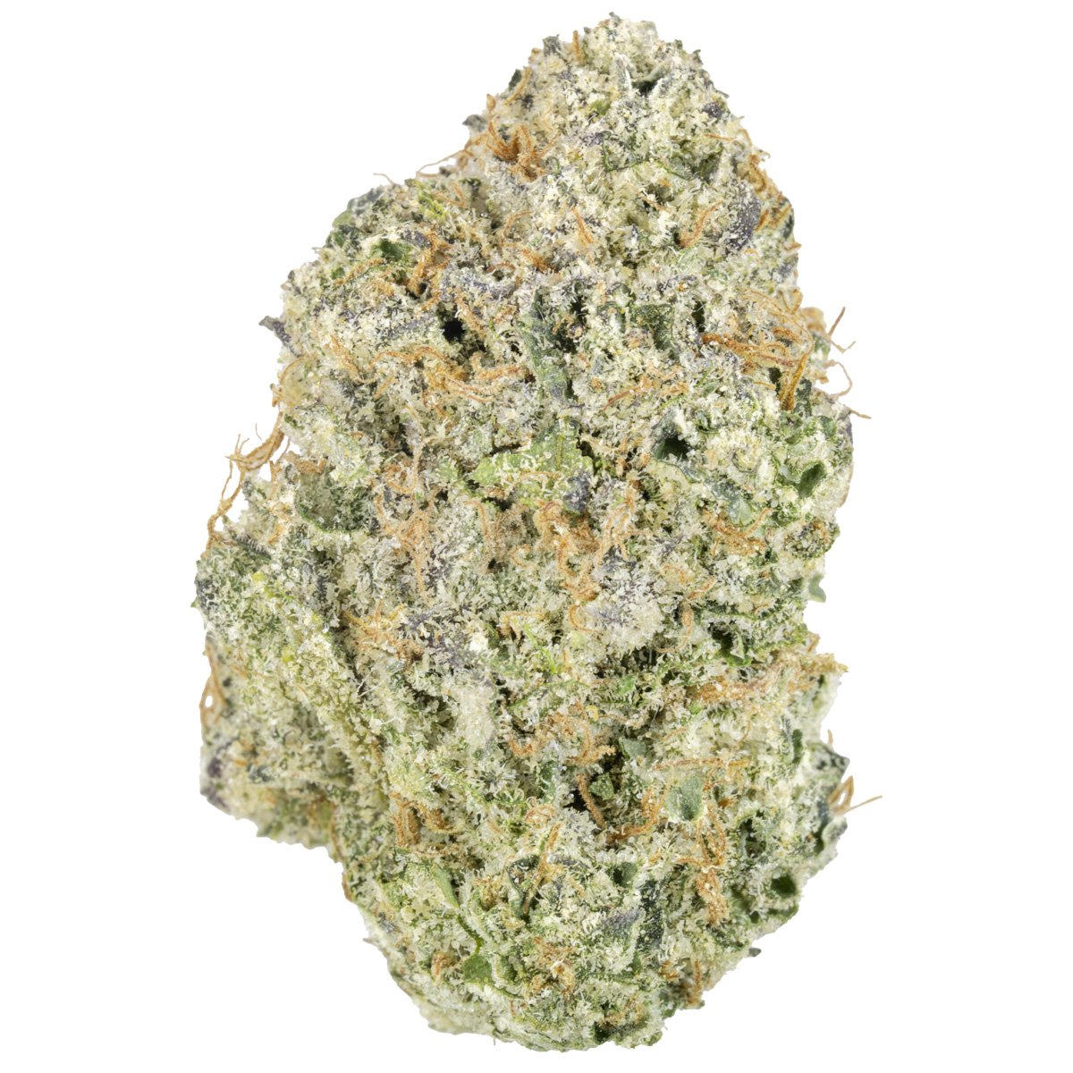 LEMON CHERRY GELATO INDOOR HYBRID HTC